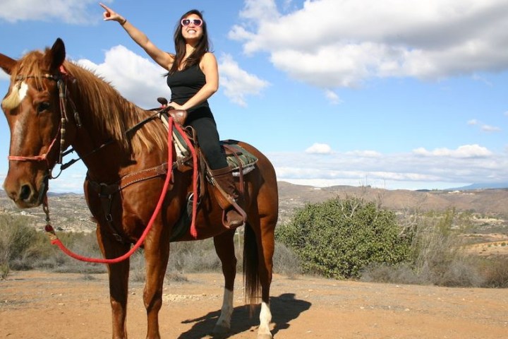a person riding a horse