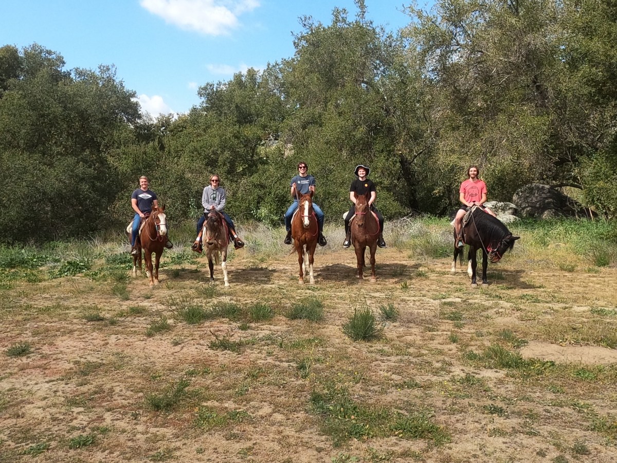 a group of people riding on the back of a horse