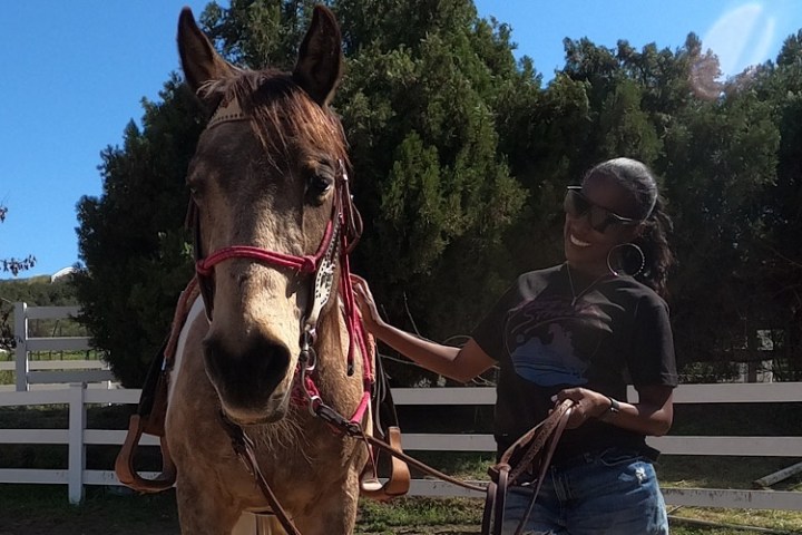 a person petting a brown horse standing next to a fence