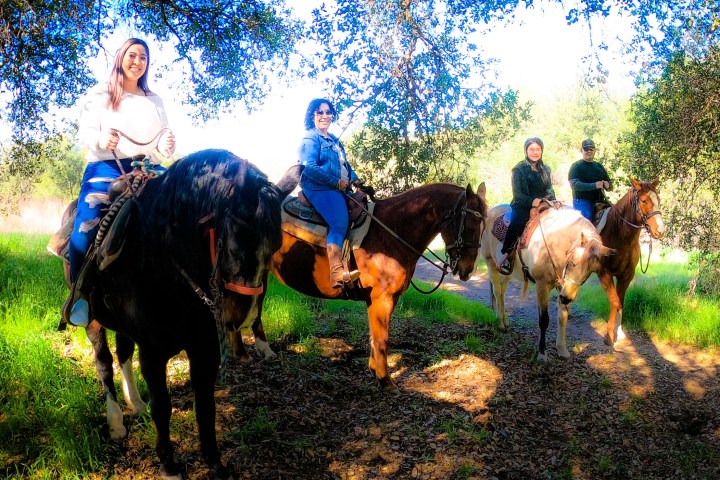 a group of people riding on the back of a horse