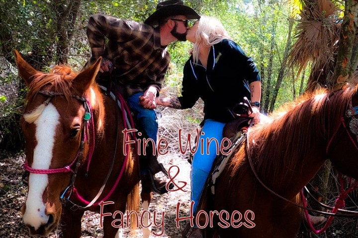 a person riding a horse