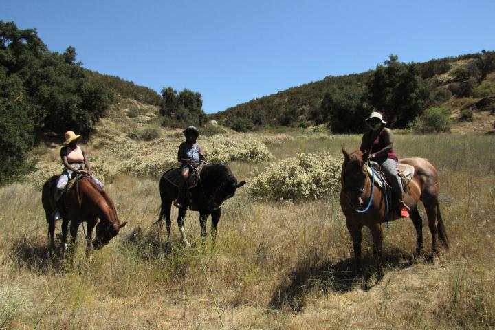 a group of people riding a horse in a field