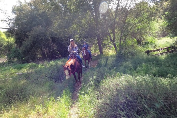 a group of people riding on the back of a horse