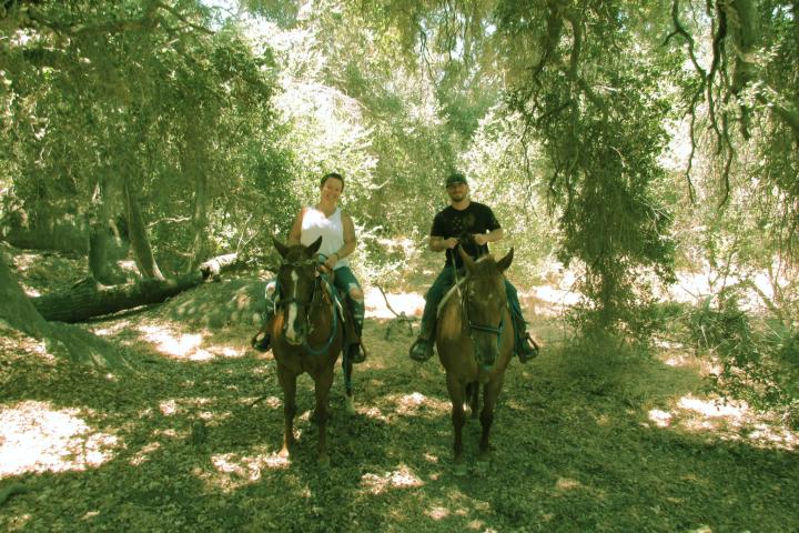 a group of people riding on the back of a horse