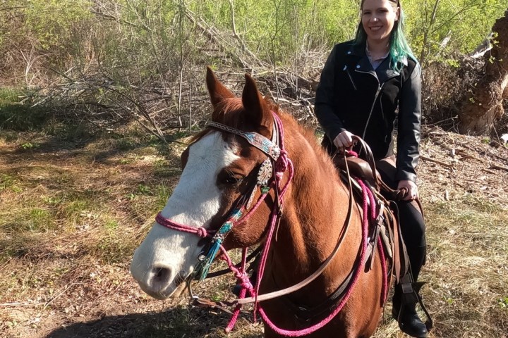 a person riding a horse