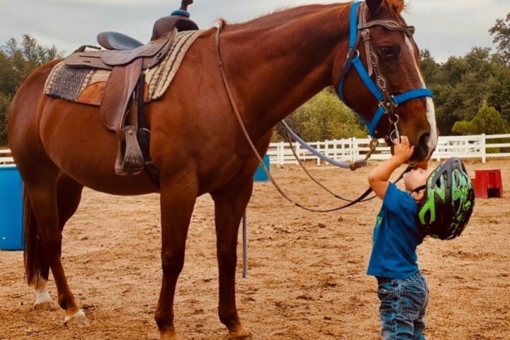a person standing next to a brown horse