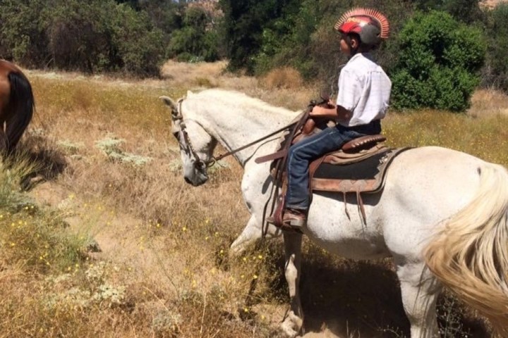 a man riding a horse in a field